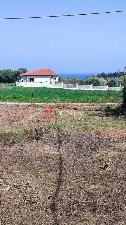Αγροτεμάχια 460 τ.μ. πρός πώληση, Χαλκιδική, Μουδανιά