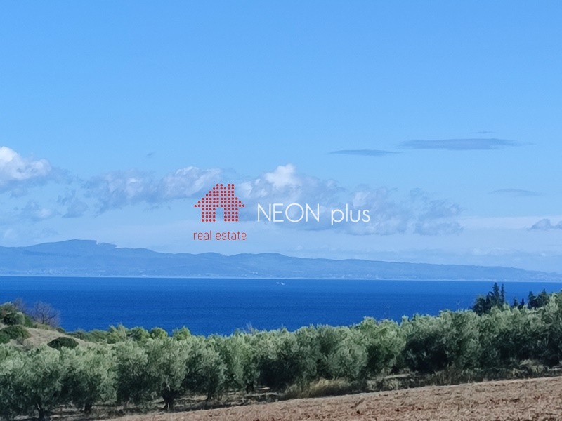 Αγροτεμάχια 460 τ.μ. πρός πώληση, Χαλκιδική, Μουδανιά