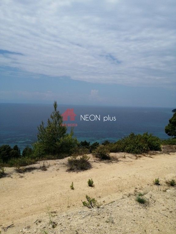 Αγροτεμάχια 11.875 τ.μ. πρός πώληση, Χαλκιδική, Κασσάνδρα