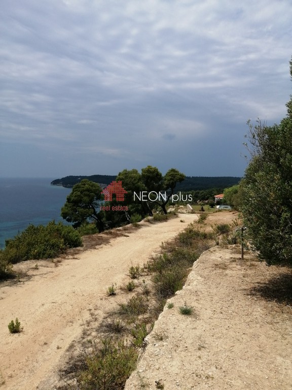 Αγροτεμάχια 11.875 τ.μ. πρός πώληση, Χαλκιδική, Κασσάνδρα