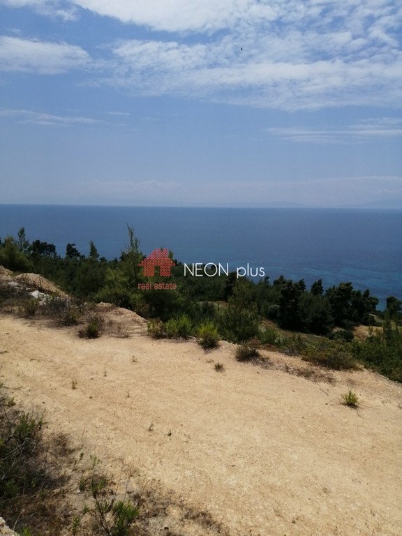 Αγροτεμάχια 11.875 τ.μ. πρός πώληση, Χαλκιδική, Κασσάνδρα