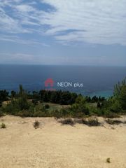 Αγροτεμάχια 11.875 τ.μ. για πώληση