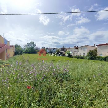 Οικόπεδο 3.000 τ.μ. προς πώληση