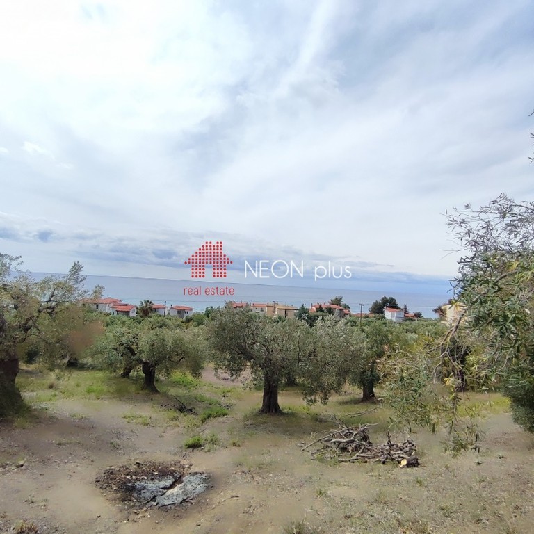Αγροτεμάχια 5.177 τ.μ. πρός πώληση, Χαλκιδική, Κασσάνδρα