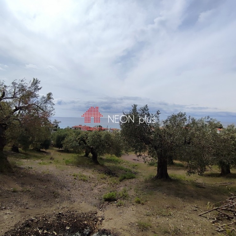 Αγροτεμάχια 5.177 τ.μ. πρός πώληση, Χαλκιδική, Κασσάνδρα