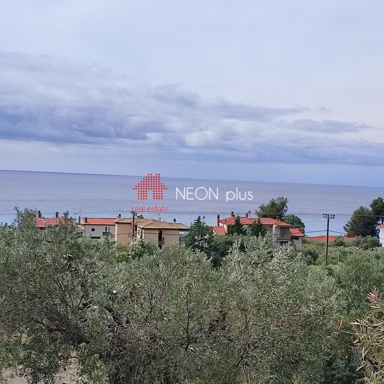 Αγροτεμάχια 5.177 τ.μ. πρός πώληση, Χαλκιδική, Κασσάνδρα