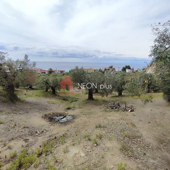 Αγροτεμάχια 5.177 τ.μ. πρός πώληση