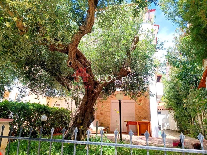 Διαμέρισμα 67 τ.μ. πρός πώληση, Χαλκιδική, Κασσάνδρα
