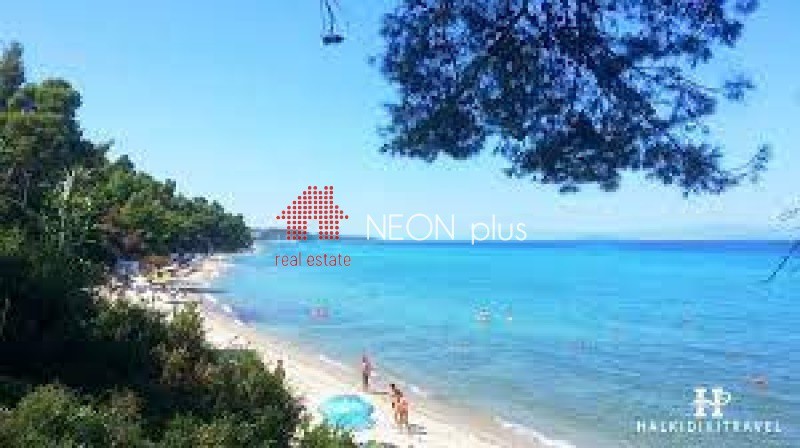 Αγροτεμάχια 1.410 τ.μ. πρός πώληση, Χαλκιδική, Κασσάνδρα