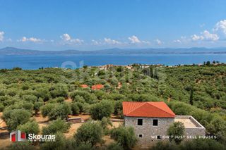 Μονοκατοικία 152 τ.μ. για πώληση, Μεσσηνία, Αβία-thumb-1