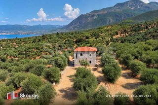 Μονοκατοικία 152 τ.μ. για πώληση, Μεσσηνία, Αβία-thumb-3