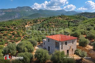 Μονοκατοικία 152 τ.μ. για πώληση, Μεσσηνία, Αβία-thumb-2