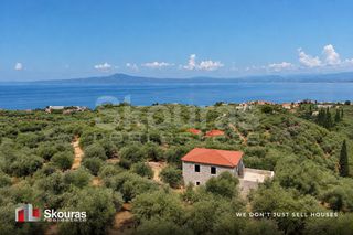 Μονοκατοικία 152 τ.μ. για πώληση, Μεσσηνία, Αβία-thumb-24
