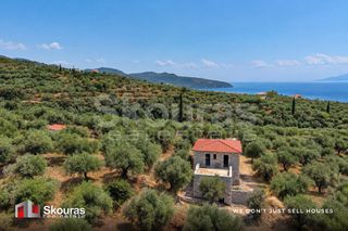 Μονοκατοικία 152 τ.μ. για πώληση, Μεσσηνία, Αβία-thumb-26