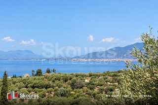 Μονοκατοικία 152 τ.μ. για πώληση, Μεσσηνία, Αβία-thumb-13