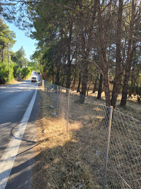 Οικόπεδο 4.500 τ.μ. πρός πώληση, Αθήνα - Βόρεια Προάστια, Άνοιξη