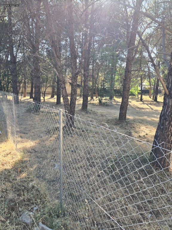 Οικόπεδο 4.500 τ.μ. πρός πώληση, Αθήνα - Βόρεια Προάστια, Άνοιξη