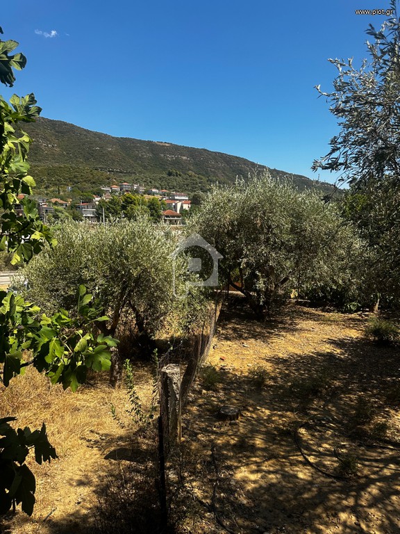 Μονοκατοικία 105 τ.μ. πρός πώληση, Αιτωλοακαρνανία, Νεάπολη