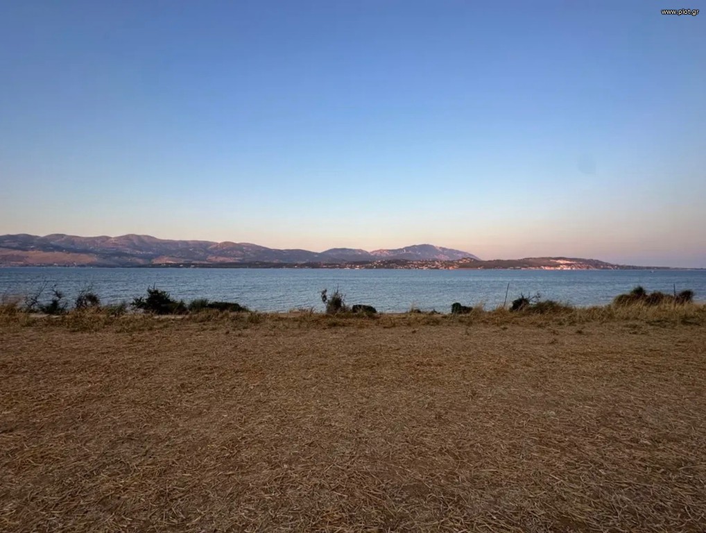 Οικόπεδο 7.000 τ.μ. προς πώληση, Παλική