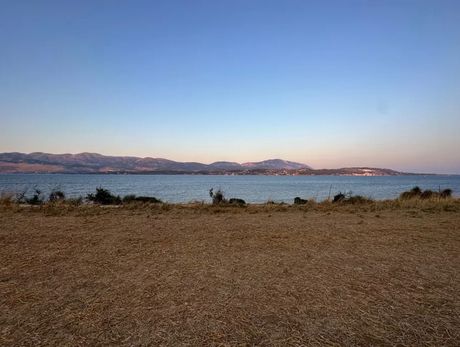 Οικόπεδο 7.000 τ.μ. πρός πώληση