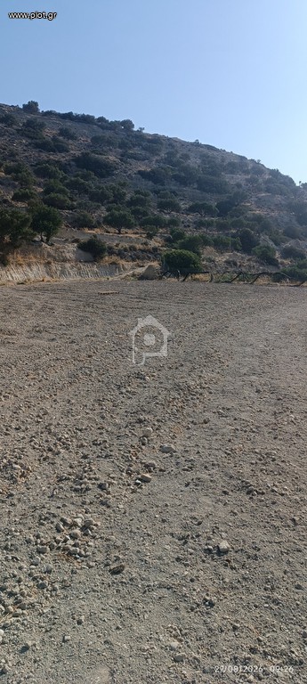 Αγροτεμάχια 7.000 τ.μ. προς πώληση, Ν. Λασιθίου, Ιεράπετρα