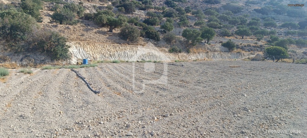 Αγροτεμάχια 7.000 τ.μ. προς πώληση, Ν. Λασιθίου, Ιεράπετρα