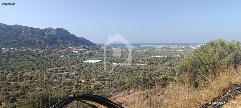 Αγροτεμάχια 7.000 τ.μ. προς πώληση, Ν. Λασιθίου, Ιεράπετρα