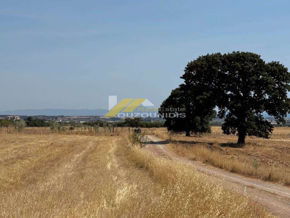 Αγροτεμάχια 3.510 τ.μ. πρός πώληση, Εβρος, Αλεξανδρούπολη