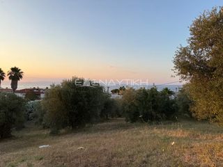 Αγροτεμάχια 3.870 τ.μ. για πώληση