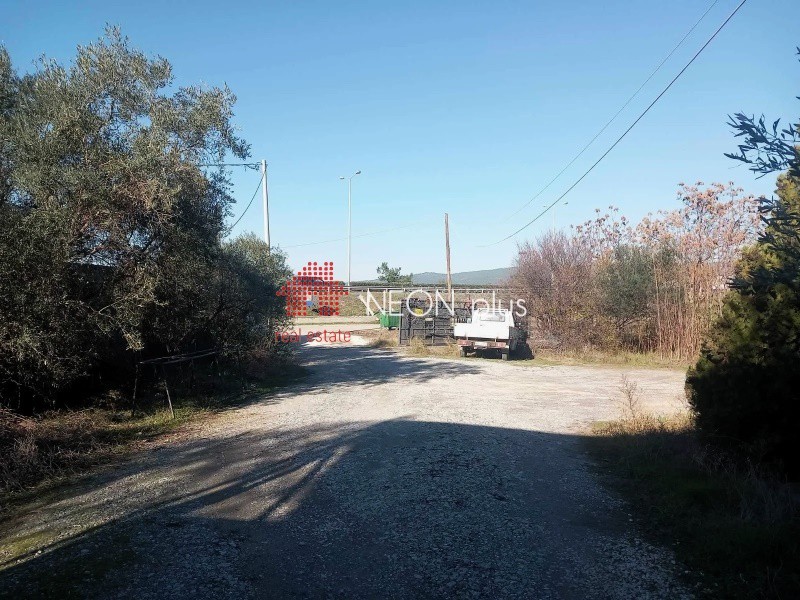 Βιομηχανικός χώρος 930 τ.μ. πρός πώληση, Θεσσαλονίκη - Περιφ/Κοί Δήμοι, Πυλαία