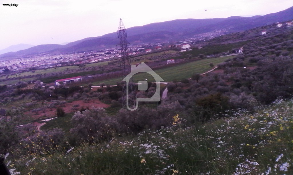 Αγροτεμάχια 100 τ.μ. προς πώληση, Κογιάτικα