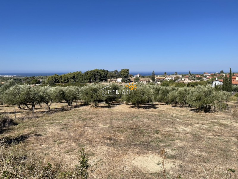 Οικόπεδο 3.300 τ.μ. πρός πώληση, Μεσσηνία, Κυπαρισσία