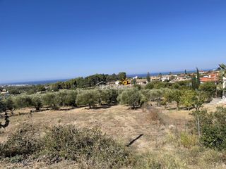 Οικόπεδο 3.300 τ.μ. προς πώληση, Κυπαρισσία Μεσσηνίας-thumb-7