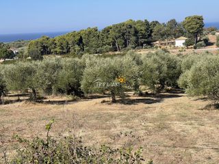 Οικόπεδο 3.300 τ.μ. προς πώληση, Κυπαρισσία Μεσσηνίας-thumb-6