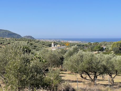 Οικόπεδο 3.300 τ.μ. πρός πώληση