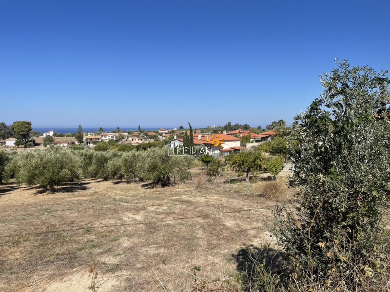 Οικόπεδο 3.300 τ.μ. πρός πώληση, Μεσσηνία, Κυπαρισσία