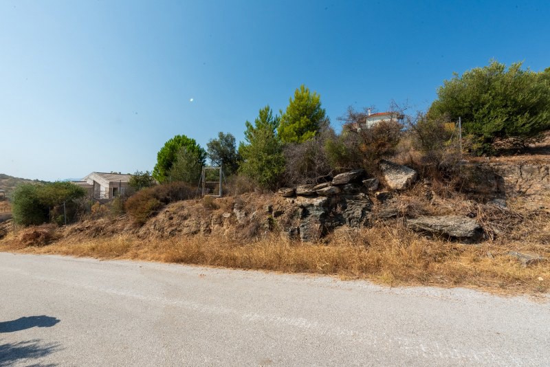 Οικόπεδο 612 τ.μ. πρός πώληση, Μαγνησία, Βόλος