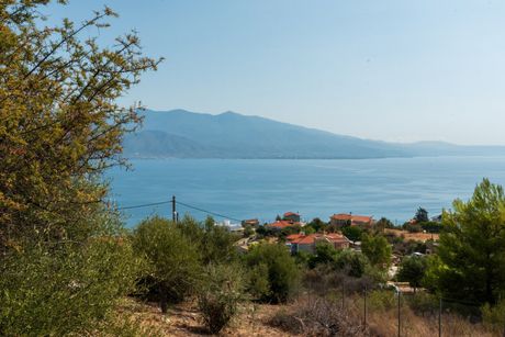 Οικόπεδο 612 τ.μ. πρός πώληση