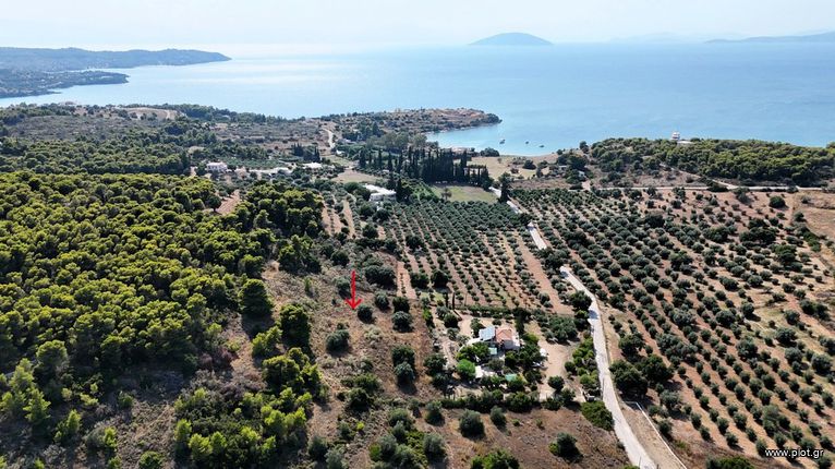 Αγροτεμάχια 4.005 τ.μ. για πώληση, Αργολίδα, Κρανίδι
