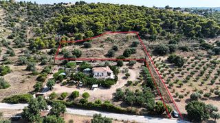 Αγροτεμάχια 4.005 τ.μ. για πώληση, Αργολίδα, Κρανίδι-thumb-2