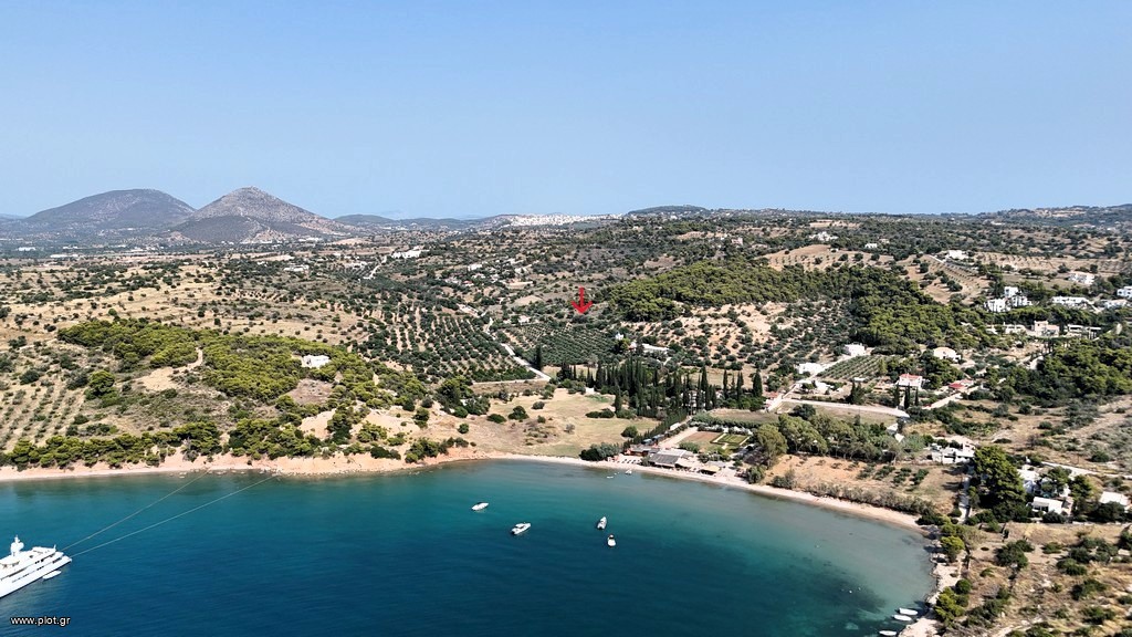 Αγροτεμάχια 4.005 τ.μ. προς πώληση, Δορούφι