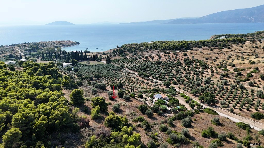 Αγροτεμάχια 4.005 τ.μ. προς πώληση, Δορούφι