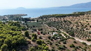 Αγροτεμάχια 4.005 τ.μ. για πώληση, Αργολίδα, Κρανίδι-thumb-4