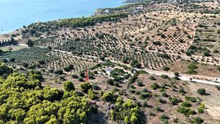 Αγροτεμάχια 4.005 τ.μ. για πώληση, Αργολίδα, Κρανίδι-thumb-6