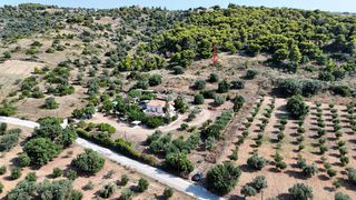 Αγροτεμάχια 4.005 τ.μ. για πώληση, Αργολίδα, Κρανίδι-thumb-9