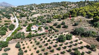 Αγροτεμάχια 4.005 τ.μ. για πώληση, Αργολίδα, Κρανίδι-thumb-10