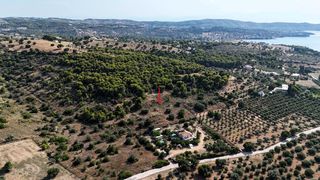 Αγροτεμάχια 4.005 τ.μ. για πώληση, Αργολίδα, Κρανίδι-thumb-13
