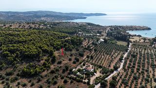 Αγροτεμάχια 4.005 τ.μ. για πώληση, Αργολίδα, Κρανίδι-thumb-14
