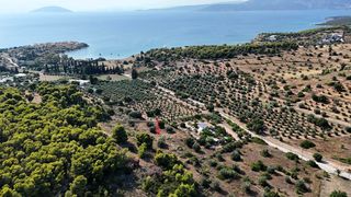 Αγροτεμάχια 4.005 τ.μ. για πώληση, Αργολίδα, Κρανίδι-thumb-15