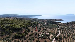 Αγροτεμάχια 4.005 τ.μ. για πώληση, Αργολίδα, Κρανίδι-thumb-18